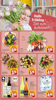 Likör im REWE Prospekt "Dein Markt" mit 22 Seiten (Düsseldorf)