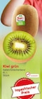 Netto Marken-Discount Ziesar - Kiwi grün Angebot im Prospekt Kiwi grün bei Netto Marken-Discount im Ziesar Prospekt für