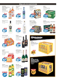 V-Markt Orangen im Prospekt 