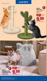 Offre Corbeille Chien dans le catalogue Lidl du moment à la page 71