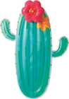 Matelas cactus - INTEX en promo chez Cora Strasbourg à 12,99 €