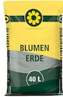 Wreesmann Stade - Blumenerde Angebot im Prospekt Blumenerde bei Wreesmann im Stade Prospekt für 1,99 €