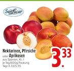 Nektarinen im EDEKA Prospekt Nektarinen von SanLucar im aktuellen EDEKA Prospekt für 3,33 €