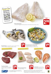 Thunfisch im E center Prospekt in Schorndorf Aktueller E center Prospekt mit Thunfisch, "Aktuelle Angebote", Seite 7