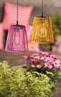 Solar-Lampe Pink Angebote bei ROSENGUT Langerwisch Potsdam für 12,99 €