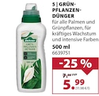 GRÜN-PFLANZEN-DÜNGER Angebote von Dehner bei Dehner Garten-Center Hofheim für 5,99 €