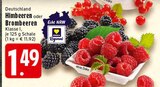 E center - Himbeeren Angebot im Prospekt Himbeeren bei E center im Prospekt "" für 1,49 €