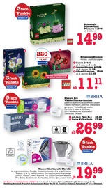 Aktueller E center Prospekt mit Blumen, "Aktuelle Angebote", Seite 65