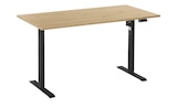 Schreibtisch Up & Down im Angebot bei Höffner in Mettmann Schreibtisch Up & Down Angebote bei Höffner Mettmann für 249,00 €