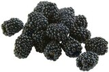 Brombeeren im Angebot bei REWE in Memmingen Brombeeren Angebote bei REWE Memmingen für 1,49 €