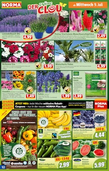 Wasser Angebot im aktuellen Norma Prospekt auf Seite 13