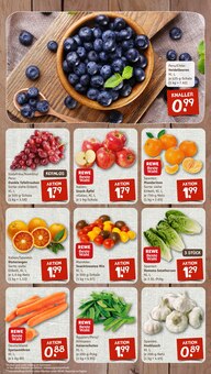 Äpfel im nahkauf Prospekt "nichts liegt näher" mit 12 Seiten (Mainz)