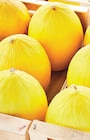 MELON JAUNE ET/OU VERT en promo chez Netto MELON JAUNE ET/OU VERT dans le catalogue Netto