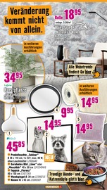 Aktueller Hornbach Prospekt mit Zimmerpflanzen, "Wir sagen Danke.", Seite 24
