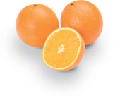 Orangen im aktuellen Netto Marken-Discount Prospekt