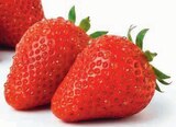 Erdbeeren im Angebot bei Markant Nordwest in Herford Erdbeeren Angebote bei Markant Nordwest Herford
