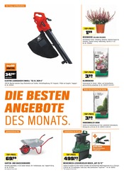 Pflanzen im OBI Prospekt in Esslingen Aktueller OBI Prospekt mit Pflanzen, "UNSERE ANGEBOTE IM OKTOBER", Seite 2
