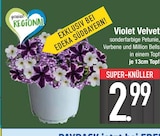 Aktuelles Violet Velvet Angebot bei E center in Augsburg ab 2,99 €