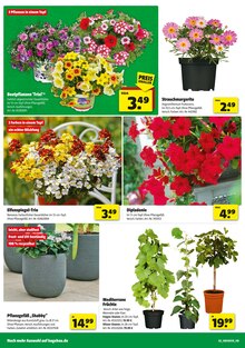 Aktueller Hagebaumarkt Prospekt "Raus in den Garten? SO günstig geht das!" Aktueller Hagebaumarkt Prospekt