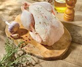 Intermarché Contact Rupt-sur-Moselle - Promo Poulet Fermier du Gers Label Rouge IGP Promo Poulet Fermier du Gers Label Rouge IGP à 6,49 € dans le catalogue Intermarché Contact à Rupt-sur-Moselle