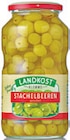 Stachelbeeren von Landkost im aktuellen Netto mit dem Scottie Prospekt