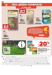 Ecorces De Pin Angebote im Prospekt "PROFITER ENFIN DE SON JARDIN : PLANTATIONS" von Carrefour Market auf Seite 4