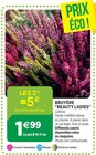 Jardineries du terroir Dole - Promo Bruyère "Beauty ladies" Promo Bruyère "Beauty ladies" à 1,67 € dans le catalogue Jardineries du terroir à Dole