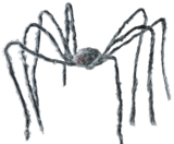 Décoration Araignée dans le catalogue Gifi