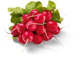 Radieschen im Netto Marken-Discount Prospekt Radieschen von HEIMAT im aktuellen Netto Marken-Discount Prospekt für 0,49 €