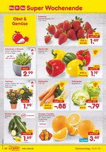Netto Marken-Discount Prospekt "Super Wochenende", 9 Seiten, für Dormagen, 16.01.2020 - 18.01.2020 Netto Marken-Discount Prospekt "Super Wochenende", 9 Seiten, für Dormagen, 16.01.2020 - 18.01.2020