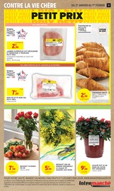 Plante Verte Angebote im Prospekt "ÇA C'EST CONTRE LA VIE CHÈRE" von Intermarché Hyper Plante Verte Angebote im Prospekt "ÇA C'EST CONTRE LA VIE CHÈRE" von Intermarché Hyper auf Seite 19