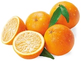 Aktuelle Obst Angebote bei REWE in Dortmund Aktuelles Orangen Angebot bei REWE in Dortmund ab 2,49 €