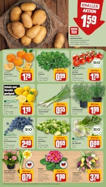 Pflanzen im REWE Prospekt in Rodgau Aktueller REWE Prospekt mit Pflanzen, "Dein Markt", Seite 9