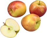 dtsch. Tafeläpfel von Bioland im aktuellen Kaufland Prospekt für 2,49 €
