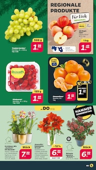 Weintrauben im aktuellen Netto mit dem Scottie Prospekt (Dresden) Weintrauben im Netto mit dem Scottie Prospekt "GĂĽnstig. Besser. FĂĽr Dich." mit 36 Seiten (Dresden)