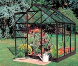 Aktuelles Gewächshaus Popular Angebot bei toom Baumarkt in Essen ab 479,00 €