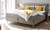 Boxspringbett von Ruf Betten im aktuellen Möbel Inhofer Prospekt für 2.498,00 €
