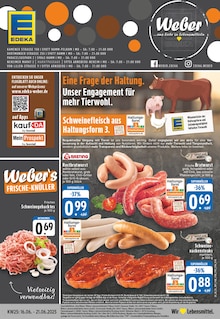 EDEKA Prospekt "Aktuelle Angebote" mit  Seiten (Arnsberg)