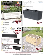 Aktueller POCO Prospekt mit Blumentopf, "Zugreifen und profitieren - unsere stärksten Angebote!", Seite 7