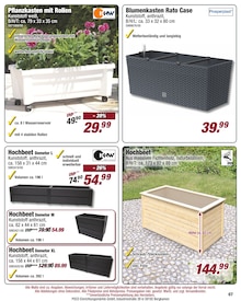 Blumentopf im POCO Prospekt "Zugreifen und profitieren - unsere stärksten Angebote!" mit 16 Seiten (Neuss)