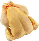 Maishähnchen im Angebot bei REWE in Neustadt Maishähnchen Angebote bei REWE Neustadt für 6,99 €