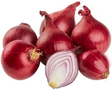 Rote Bio Speisezwiebeln Angebote von REWE Bio bei REWE Flensburg für 1,19 €