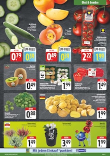 Pflanzen im aktuellen EDEKA Prospekt (Chemnitz) Pflanzen im EDEKA Prospekt "Wir lieben Lebensmittel!" mit 28 Seiten (Chemnitz)
