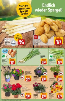 Blumen im REWE Prospekt "Dein Markt" mit 32 Seiten (Augsburg)