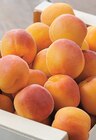 Promo Abricot à 2,49 € dans le catalogue Intermarché Express à Maisons-Alfort
