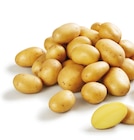 Lidl Sigean - Promo Pomme de terre Promo Pomme de terre à 2,29 € dans le catalogue Lidl à Sigean