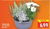 E center Berlin - Herbstschale Angebot im Prospekt Herbstschale bei E center im Berlin Prospekt für 6,99 €