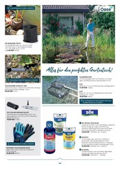 Aktueller PROFI Wesch Prospekt mit Blumentopf, "GARTEN KATALOG", Seite 127