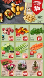 Aktueller REWE Prospekt mit Garten, "Dein Markt", Seite 9