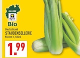Aktuelle Sellerie Angebote bei Marktkauf in Dortmund Aktuelles STAUDENSELLERIE Angebot bei Marktkauf in Dortmund ab 1,99 €